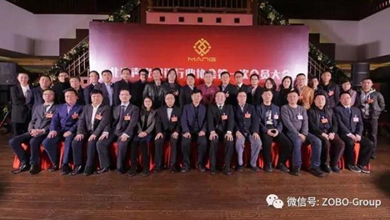 热烈庆祝ZOBO羞羞视频APP大全董事长张新峰被选为北京声光视讯行业协会会长